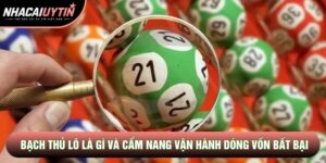Bạch Thủ Lô Là Gì Và Cẩm Nang Vận Hành Dòng Vốn Bất Bại