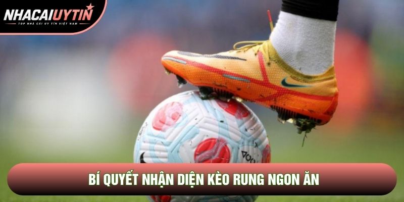 Bí quyết nhận diện kèo rung ngon ăn Bí quyết nhận diện kèo rung ngon ăn