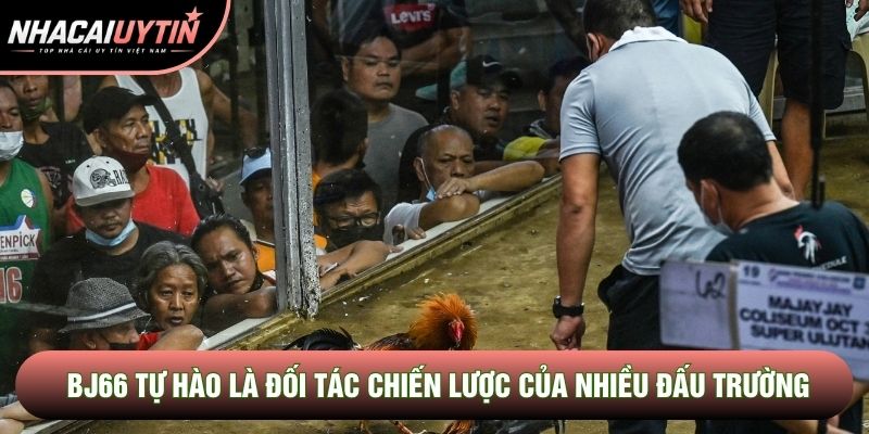 BJ66 tự hào là đối tác chiến lược của nhiều đấu trường BJ66 tự hào là đối tác chiến lược của nhiều đấu trường
