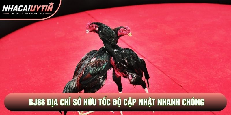 BJ88 địa chỉ sở hữu tốc độ cập nhật nhanh chóng BJ88 địa chỉ sở hữu tốc độ cập nhật nhanh chóng