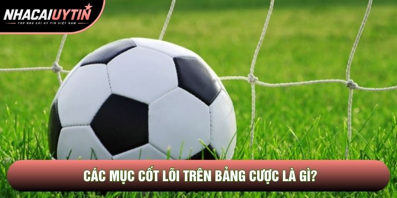 Các mục cốt lõi trên bảng cược là gì? Các mục cốt lõi trên bảng cược là gì?