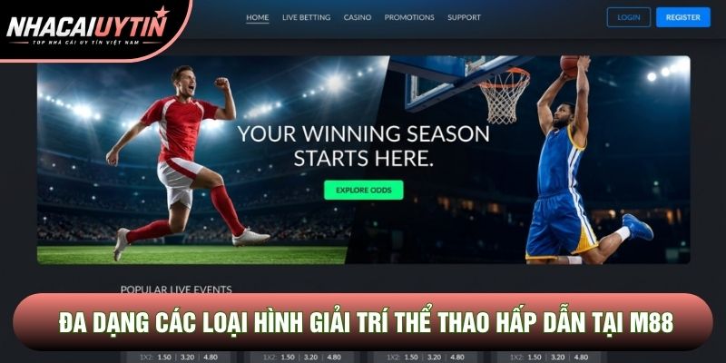Đa dạng các loại hình giải trí thể thao hấp dẫn tại M88 Đa dạng các loại hình giải trí thể thao hấp dẫn tại M88