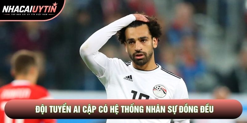 Đội tuyển Ai Cập có hệ thống nhân sự đồng đều Đội tuyển Ai Cập có hệ thống nhân sự đồng đều