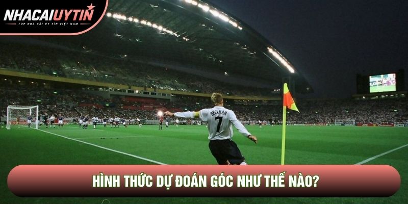 Hình thức dự đoán góc như thế nào? Hình thức dự đoán góc như thế nào?