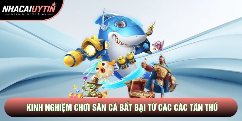 Kinh nghiệm chơi săn cá bất bại từ các các tân thủ