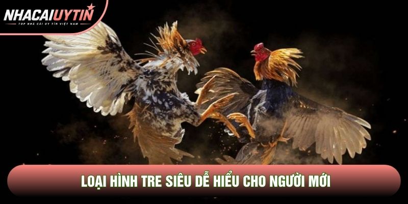 Loại hình tre siêu dễ hiểu cho người mới