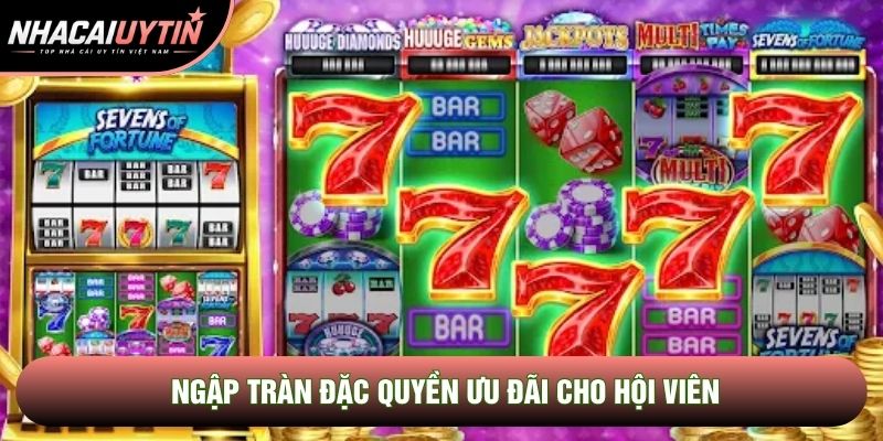 Ngập tràn đặc quyền ưu đãi cho hội viên Ngập tràn đặc quyền ưu đãi cho hội viên