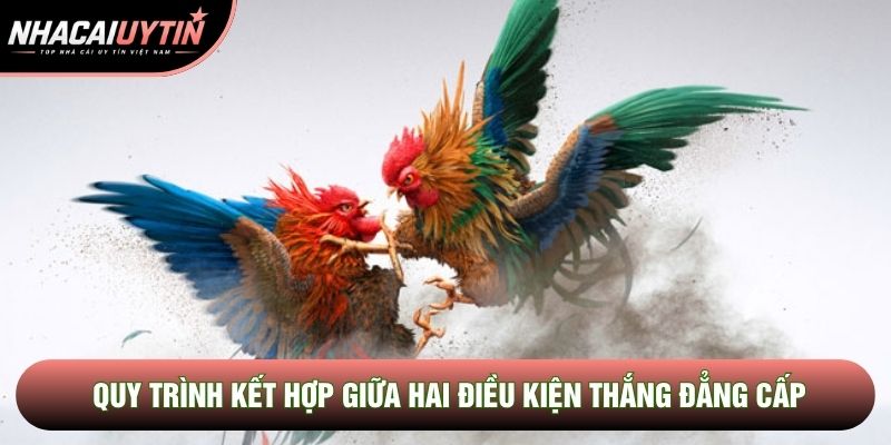 Quy trình kết hợp giữa hai điều kiện thắng đẳng cấp Quy trình kết hợp giữa hai điều kiện thắng đẳng cấp