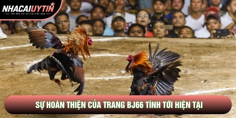 Sự hoàn thiện của trang BJ66 tính tới hiện tại Sự hoàn thiện của trang BJ66 tính tới hiện tại